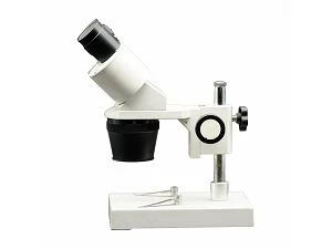 Aplicació de microscopis estèreo a la vida diària