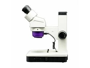 Punts de neteja per a microscopis estèreo
