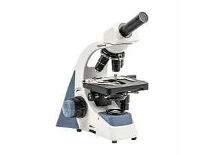 Rendiment clau dels microscopis compostos
